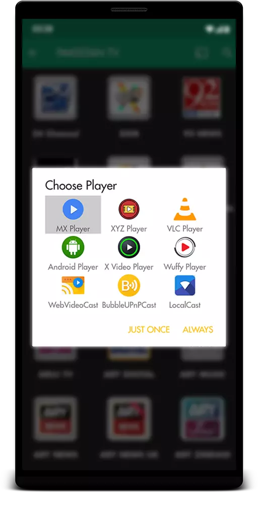 Rapid Streamz APK Download Free